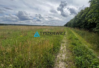 3 niezależne działki  • zamostne, gmina wejher