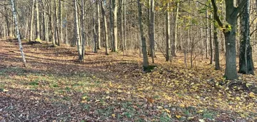 Działka na sprzedaż 1632m2