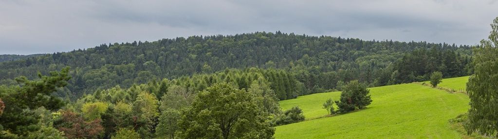 Działka budowlana- kielczawa