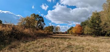 Malownicza działka siedliskowa 1,95 ha – czarnowie