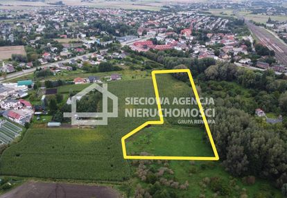 Grunt inwestycyjny pszczółki wz