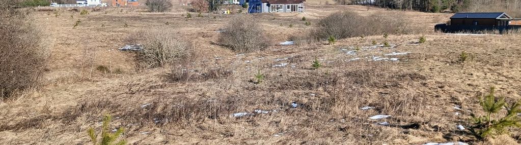 Działka przy lesie z mpzp w kielnie k. szemuda