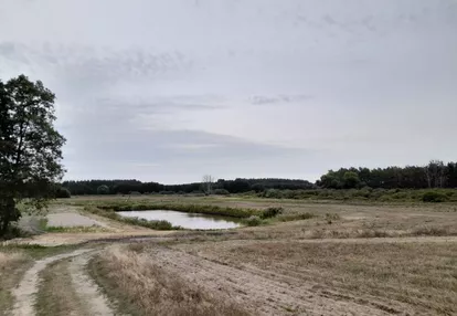 Działka na sprzedaż 3000m2