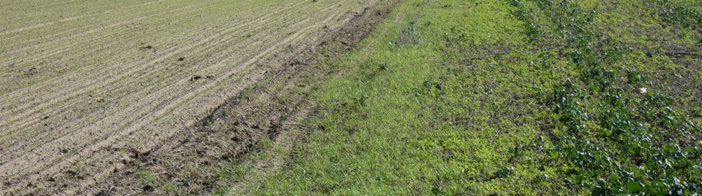 Działki z warunkami zabudowy blisko jezior i lasów