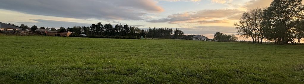 Działka budowlano-zagrodowa –teodorów, gm. skórzec