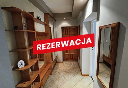 Do wynajęcia mieszkanie w mościce