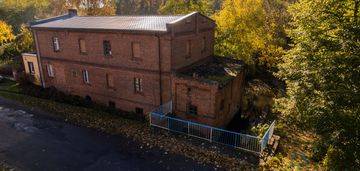 Dom po dawnym młynie nad widawą