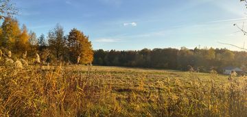 Działka budowlana przy lesie- ul. młyńska