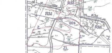 8ha w lesie pod stadninę koni agroturystykę