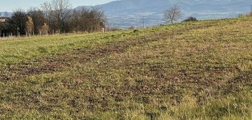 Działki budowlane w trzetrzewinie