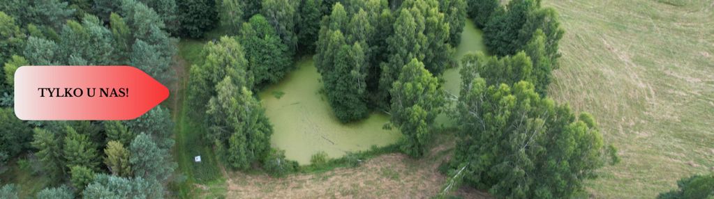 Działka ze stawem, linią brzegową rzeki oraz wz.