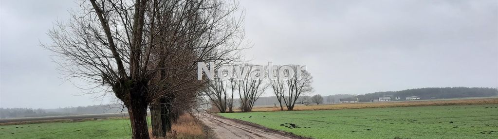 Działka rolna o pow. 6323m2 w łachowie gm.szubin