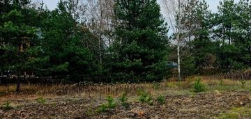 Działka budowlana o pow. 1084 m2 na skraju lasu.