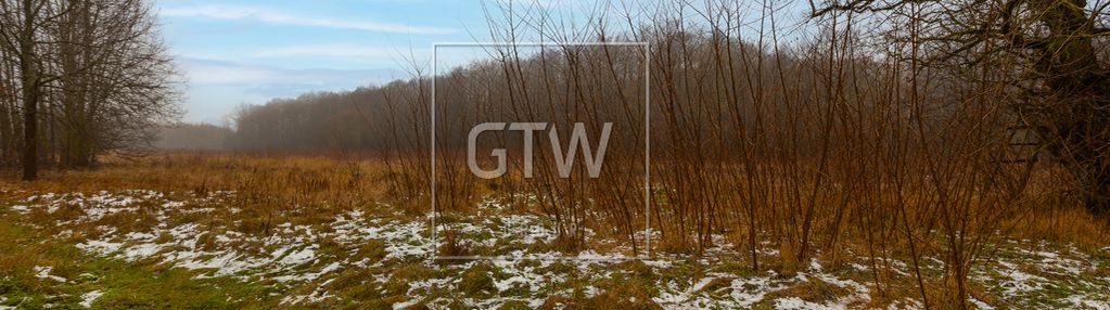 Działka 3001m2, z wz na 3 budynki, lisówek