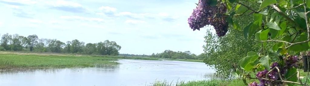 Jackowo/popowo działki z widokiem na rozlewiska