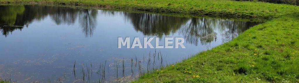 Działka ze stawem-paliwodzizna