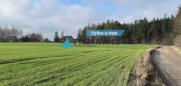 Działka bud. przy ścianie lasu w wielkim kliczu