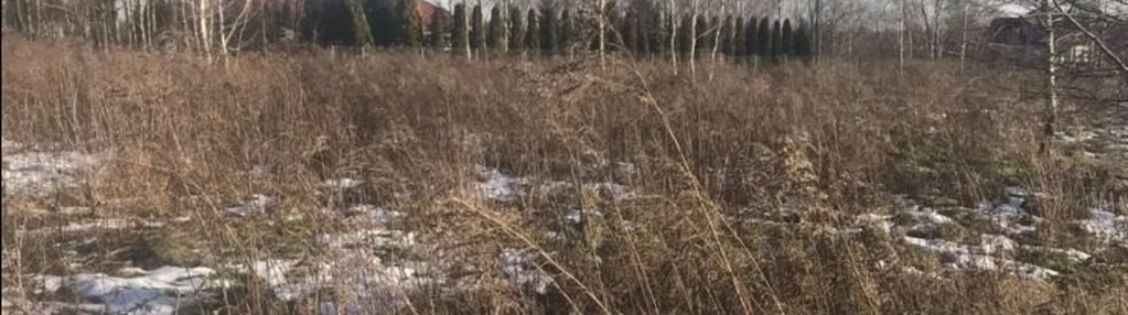 Działka 2.2 ha, okolice ozorkowa