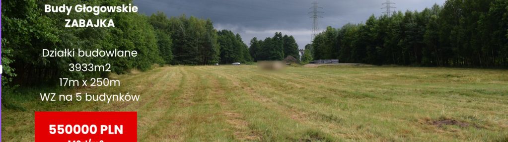 Działki budowlane 39a w budach głogowskich