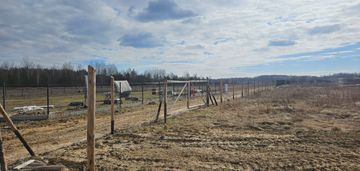 Duża działka, wz, projekt domu., rabat