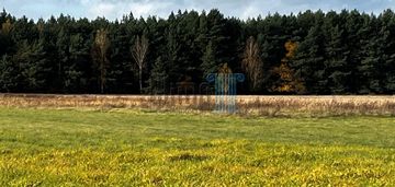 Super działki -nowe dąbie za brzozą