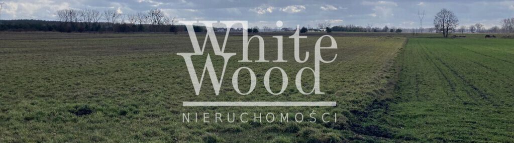 Deszczno k. gorzowa - działki z gotową koncepcją w