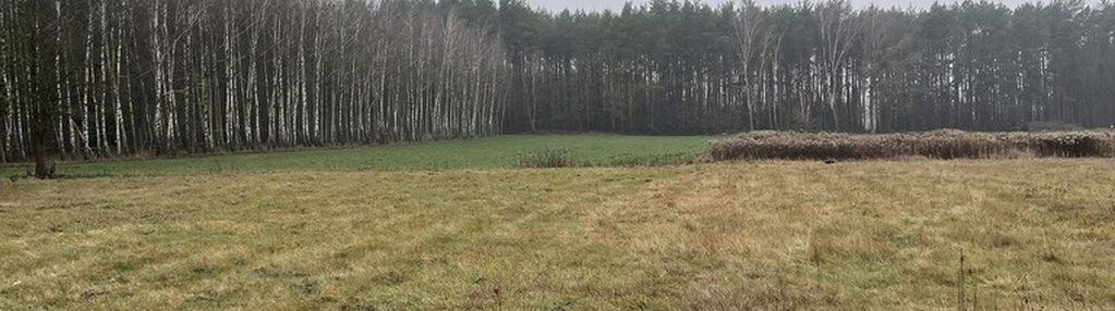 Działka bud. 4113 m² w sierakowie koło radzymina.