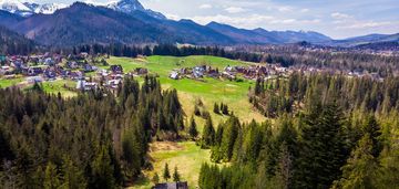 Las na sprzedaż - zakopane