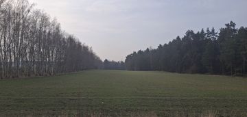 Dwie działki budowlane po 1000 m² w boroszkowie