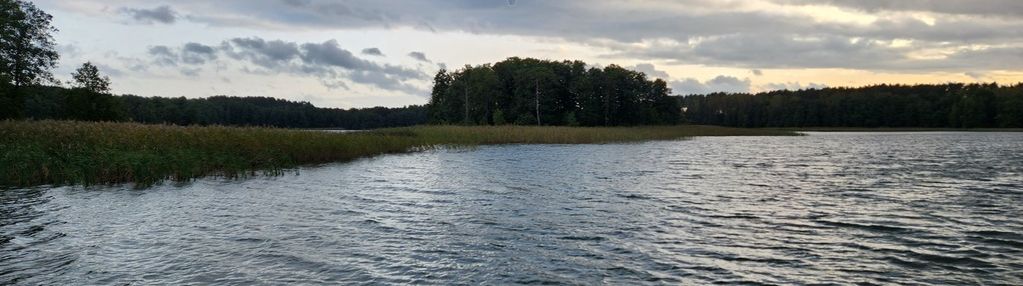 Działka budowlana z linią brzegową, skolity