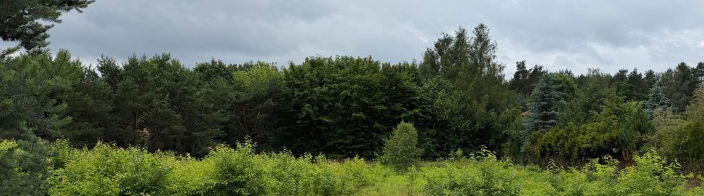 Działka budowlana, warszawa wawer alekasndrów mpzp