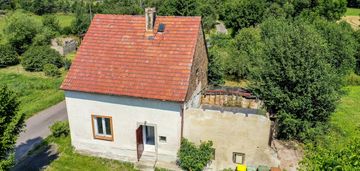 Dom z dużą działką w spokojnej okolicy