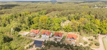 Wolnostojący | las | cisza | sękowo | natura