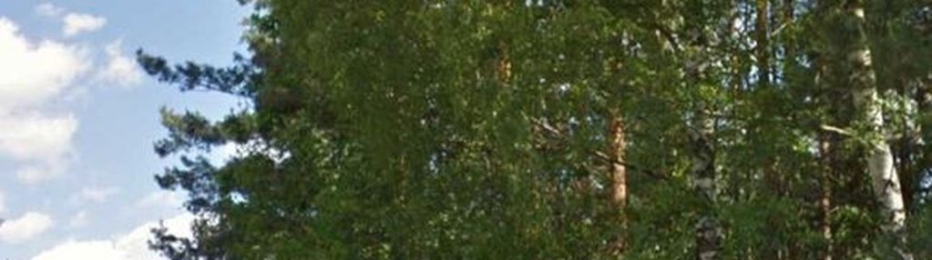 Działka budowlana w lesie - chwaszczyno