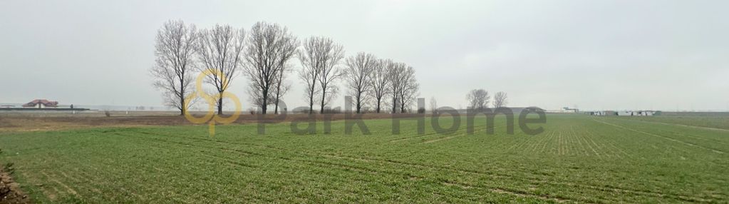 Działka budowlana na sprzedaż w święciechowie.