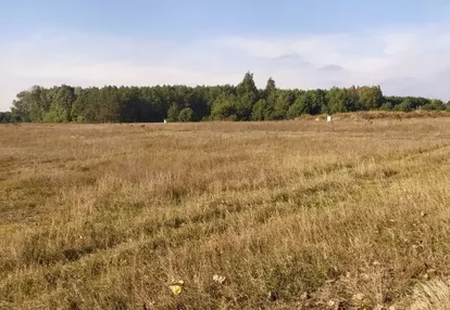 Działka na sprzedaż 1000m2