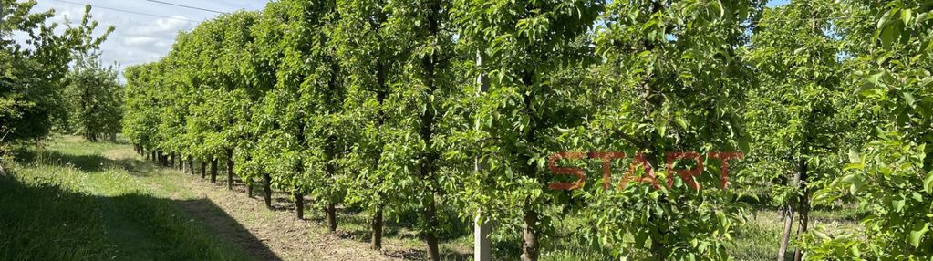 Zainwestuj w ziemię – 2,18 ha michrów
