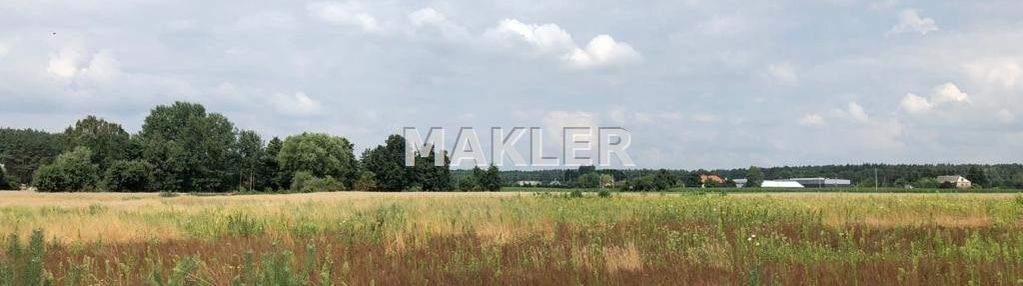 Działka wilcze