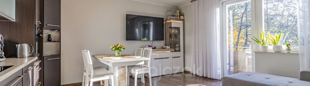 Centrum| 3 pok| do wejścia| z agd| szkoła|mzk|park