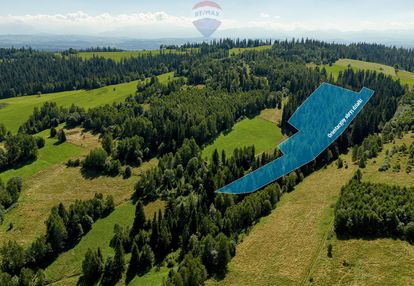 Działki leśne  sieniawa