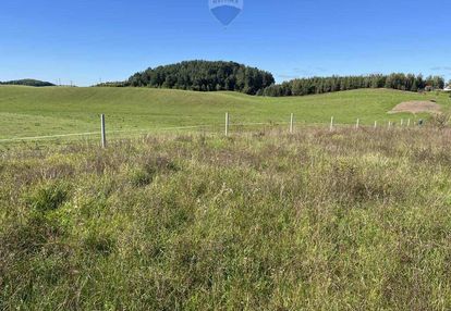 Działka na mazurach - 3 chwile do jeziora