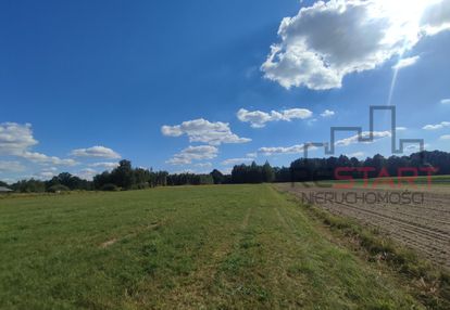 Dwie działki w aleksandrii koło żyrardowa