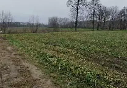 Działka na sprzedaż 1000m2