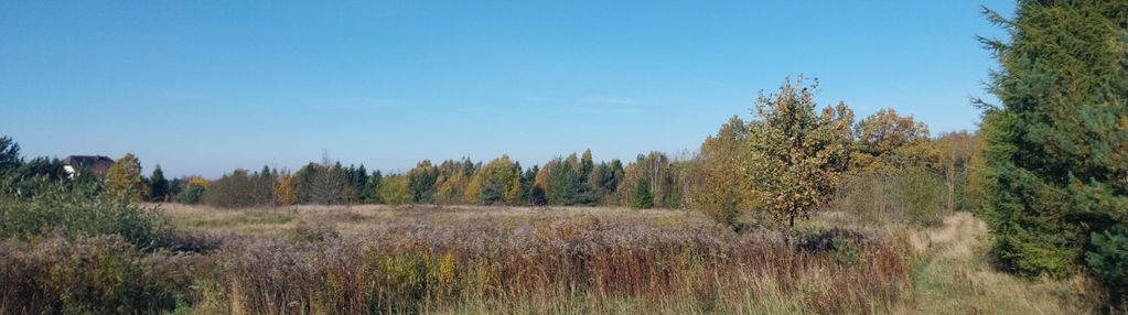 Działka 1,5ha pod zabudowę jednorodzinną - pomlewo