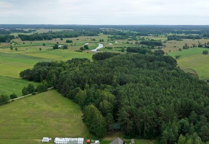 Domek ukryty w małym lesie, blisko rzeki, cieciory gm. turośl