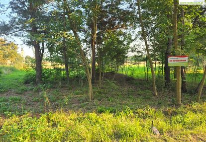 Oferta działek w koloni witów