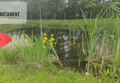 Obniżka !!!dom nad rzeką dz. 2924 m² natura 2000