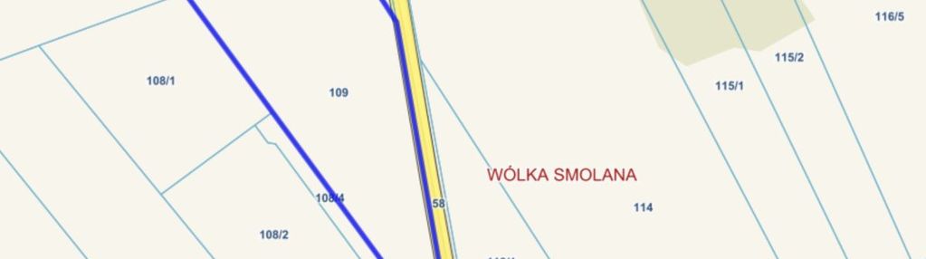 Wólka smolana, gm. brochów, media, las