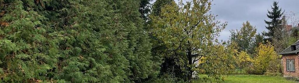 Teren inwestycyjny 4,19 ha koło radzymina
