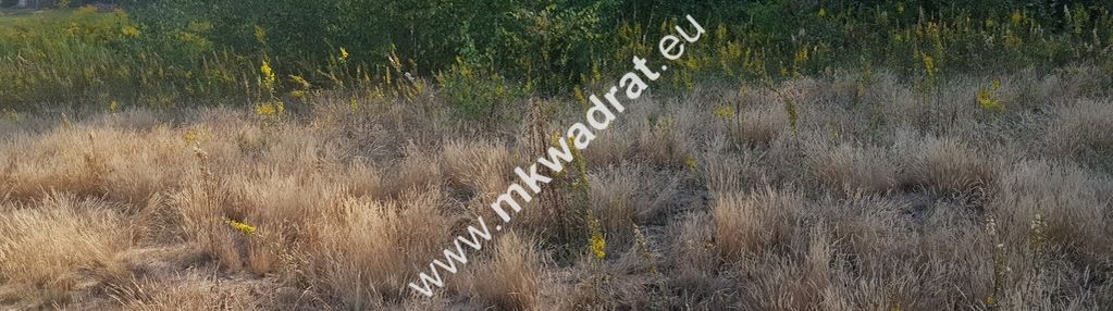 Działka przy lesie pod dom 2-lokalowy mpzp media!